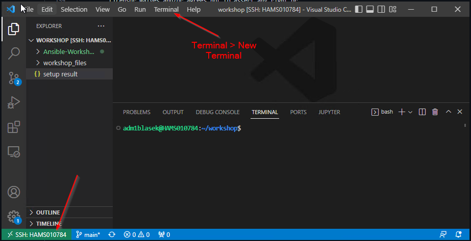 VScode Remote SSH connection