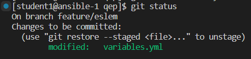 Git Status with file for Commit